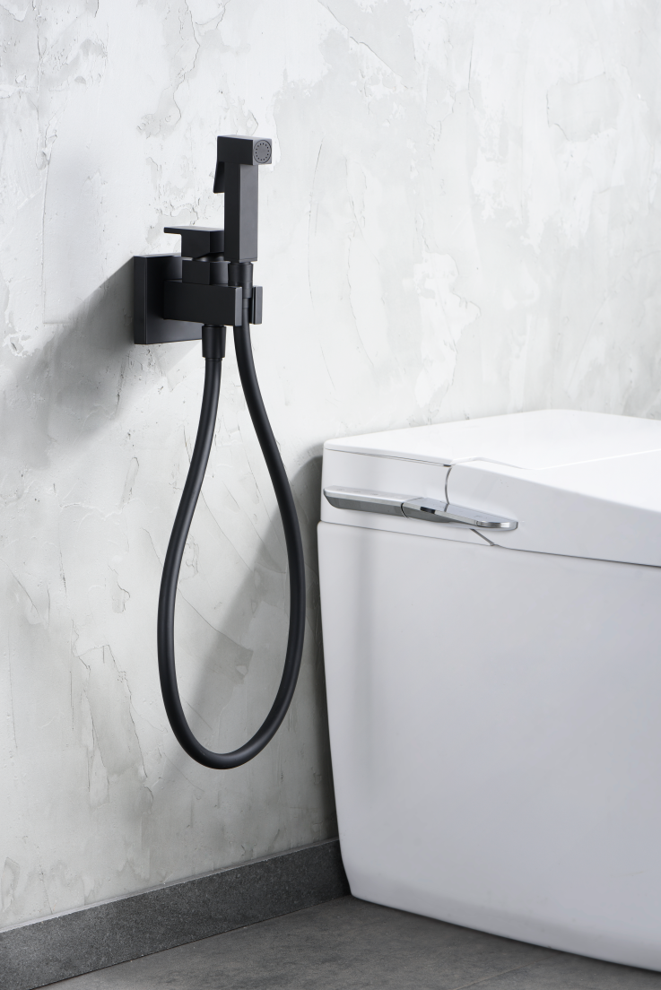 Гигиенический душ со смесителем и скрытой частью imex irlanda rdm003/ng matt black