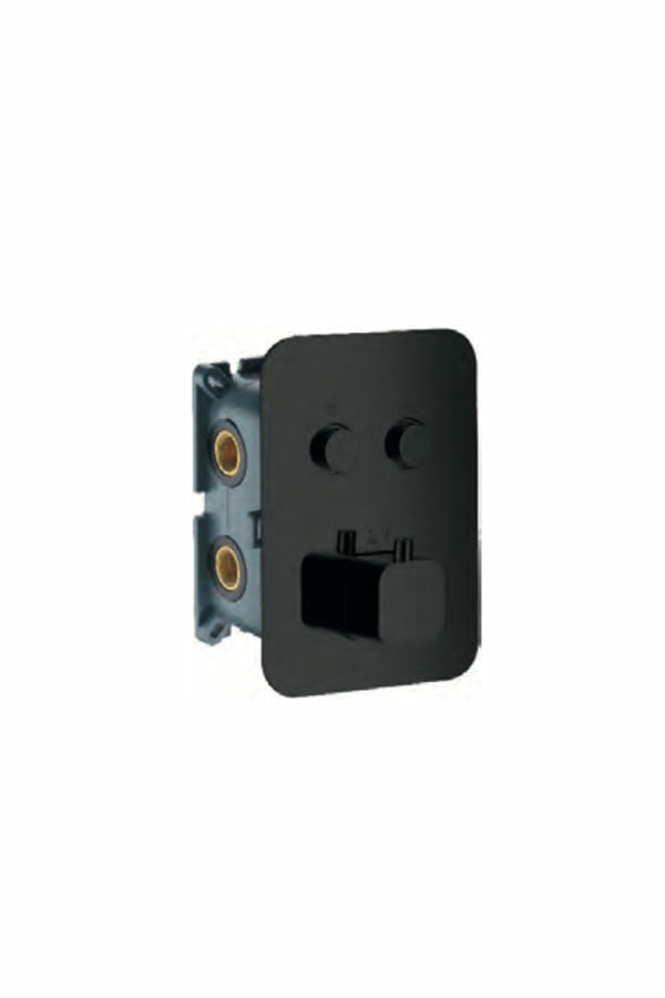 Смеситель термостатический для ванны/душа скрытого монтажа на 2 потребителя с внутренней частью imex ctp02v/ng matt black